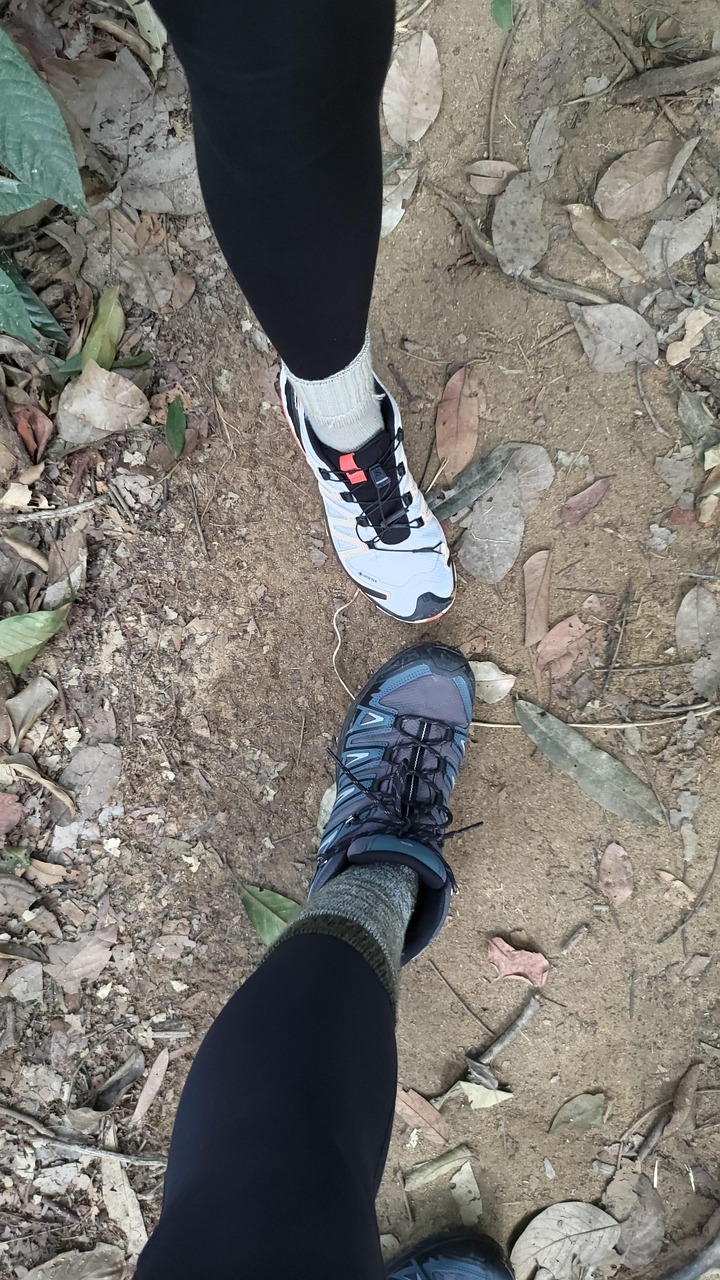 solomons hiking shoes