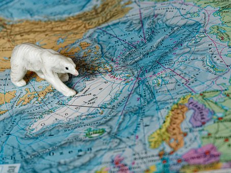 Mapa, Oso Polar, Macro, Atlas