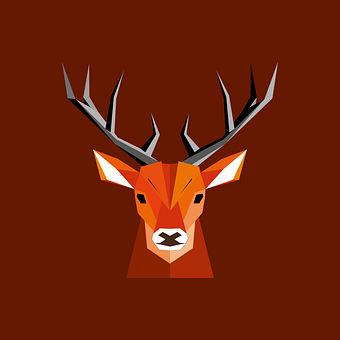 Hirsch, Polygone, Natur, Kopf, Geweih