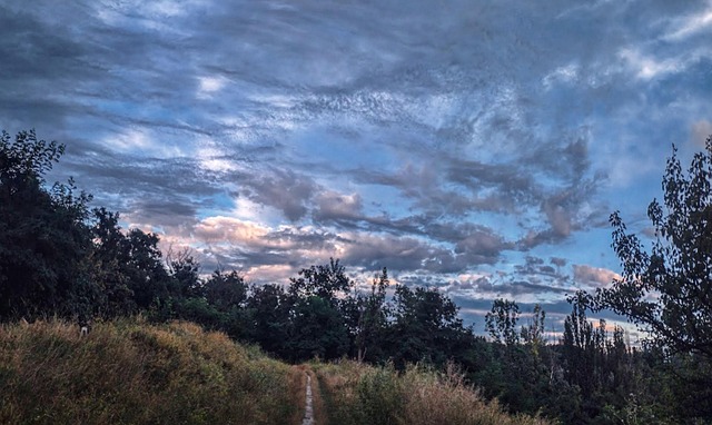 Free Twilight Nature photo and picture