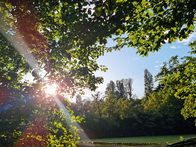 Free Nature Sunset photo and picture