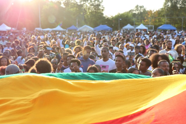 Free Ethiopian Flag photo and picture