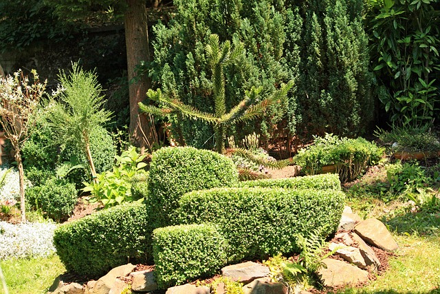 Free Book Hedges photo and picture