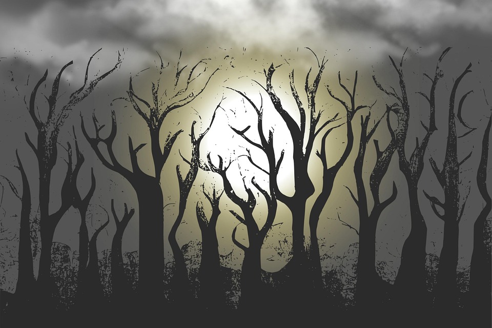 Download Moon Trees Forest Royalty-Free Stock Illustration Image - Pixabay