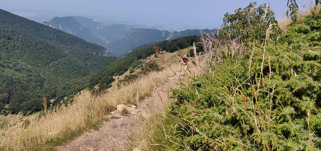 Free Mountain Nature photo and picture