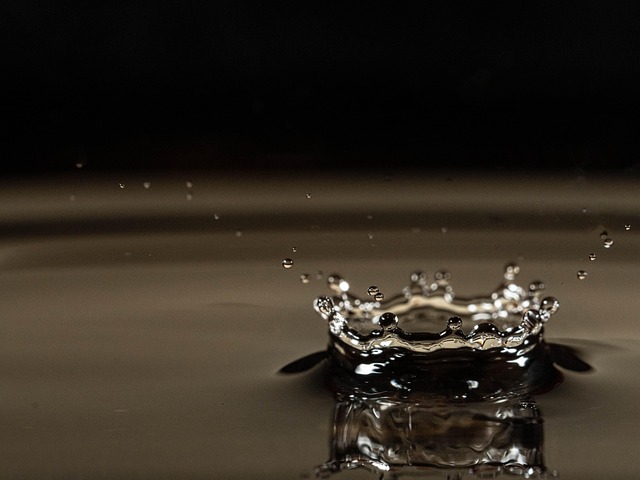 Free Macro Shot Drops photo and picture