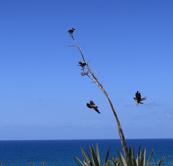 Free Nature Landscape photo and picture