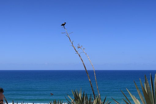 Free Nature Landscape photo and picture