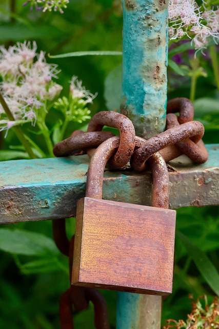 Free Rust Padlock photo and picture