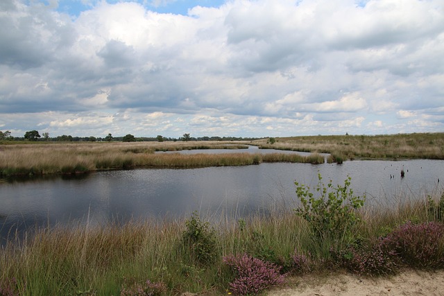 Free Netherlands Nature Reserve photo and picture