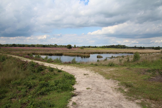 Free Netherlands Landscape photo and picture