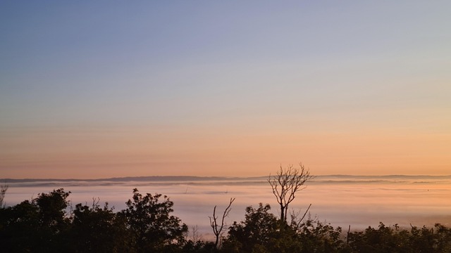 Free Eastbourne Under Mist photo and picture