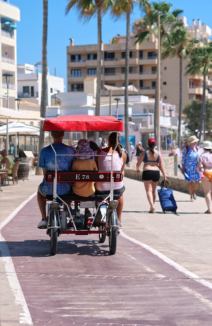 Free Mallorca Calamiller photo and picture