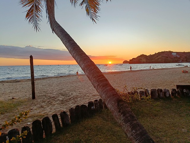 Free Beach Sunset photo and picture