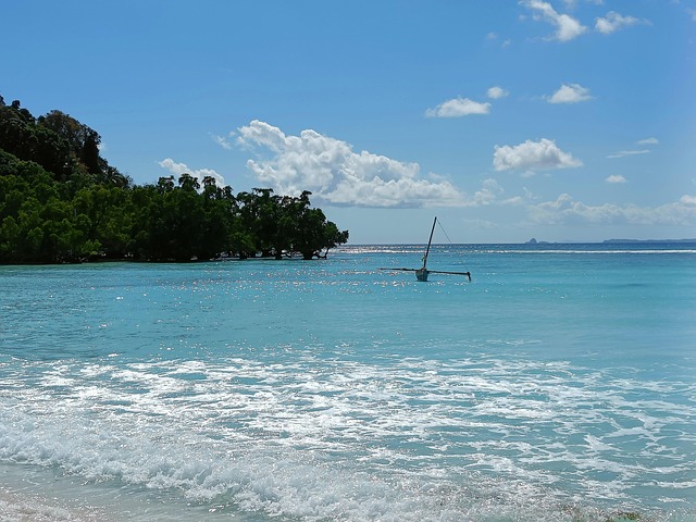 Free Beach Sea photo and picture