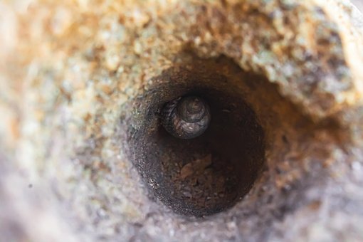Free Shell Beach photo and picture