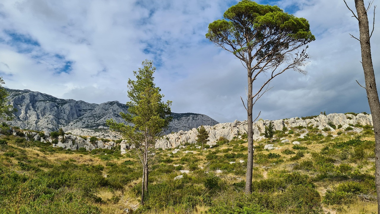 Makarska Riviera Von - Kostenloses Foto auf Pixabay - Pixabay