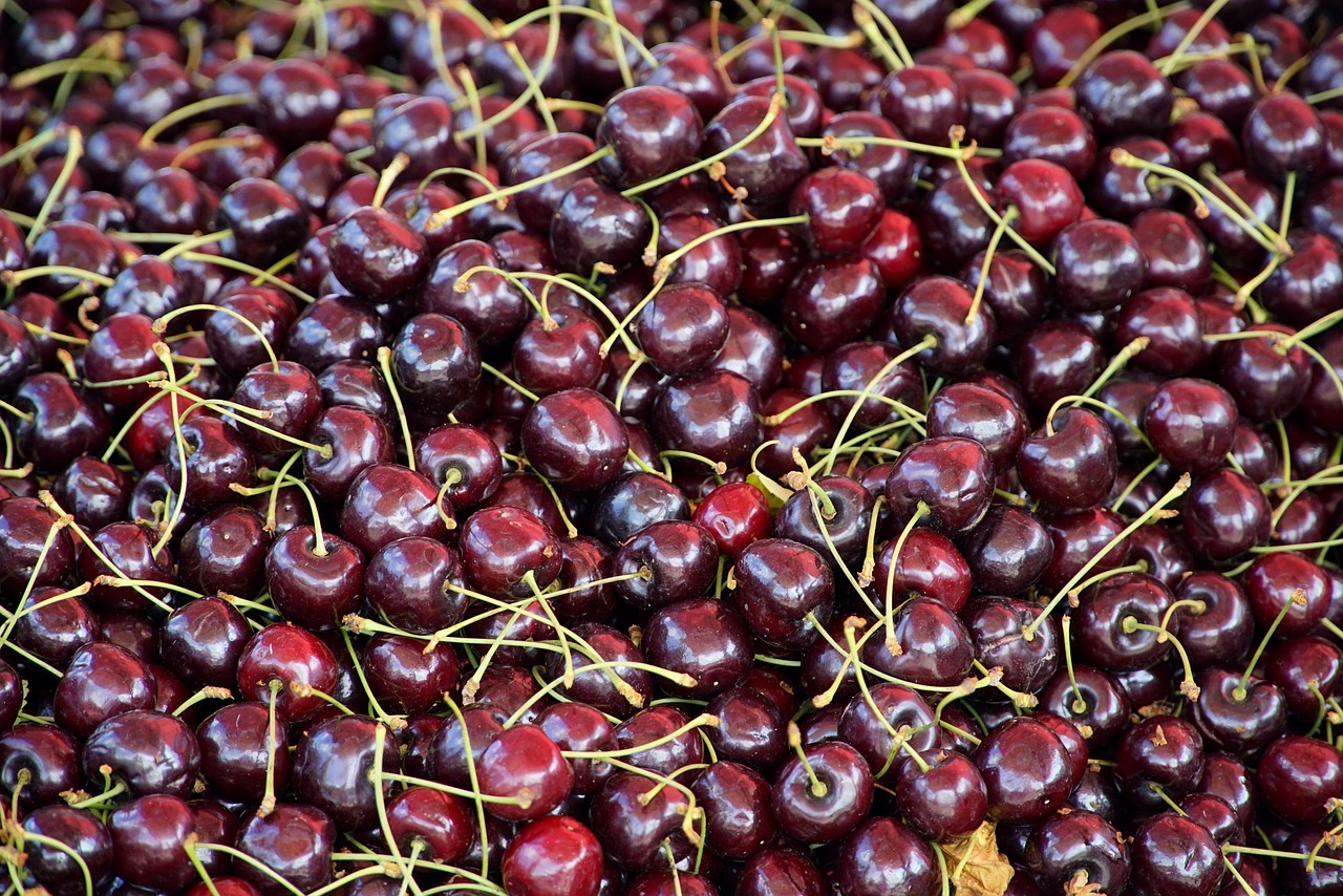 Cherries Fruits Food Free photo on Pixabay Pixabay