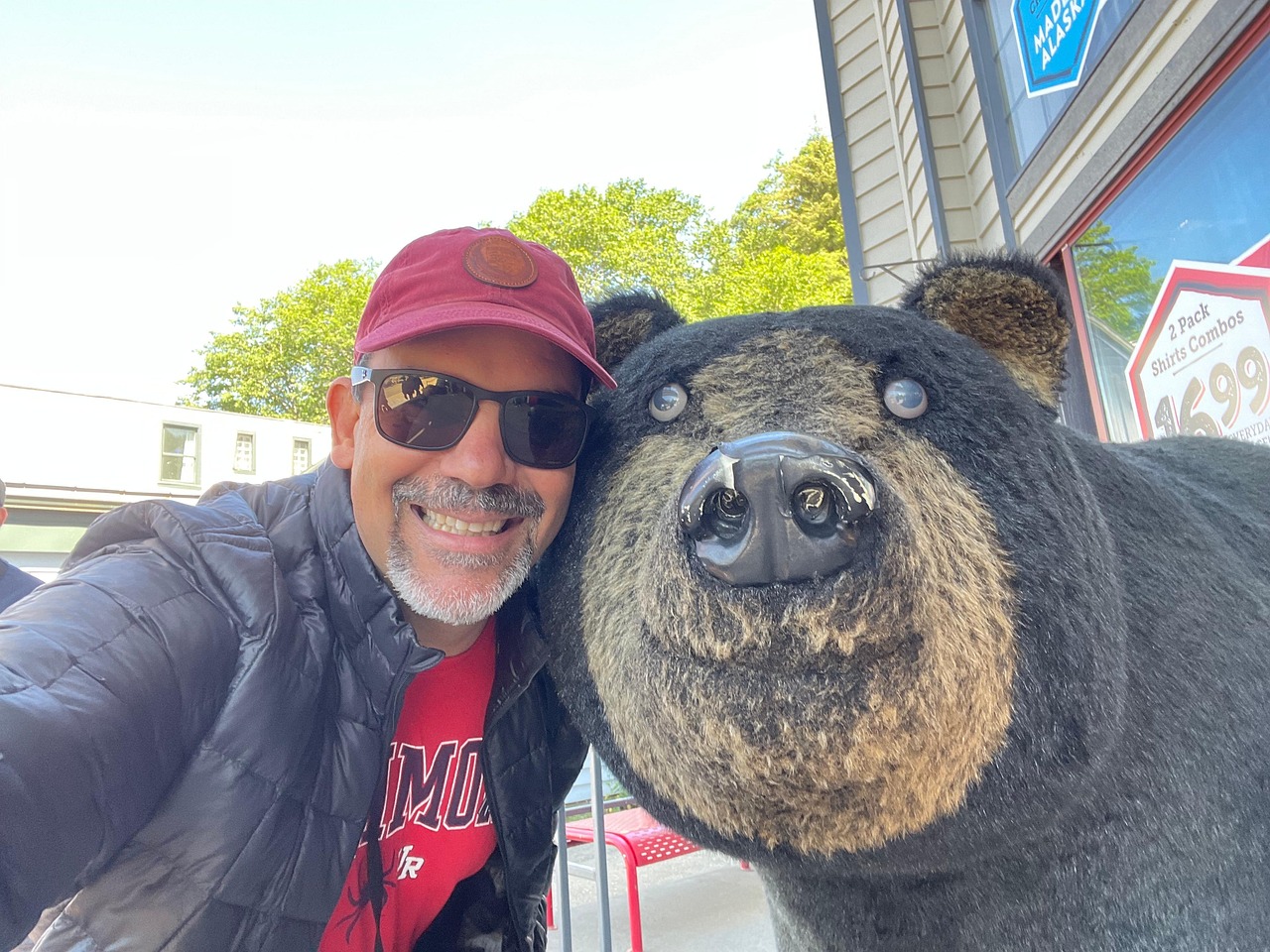 urso-selfie-foto-gratuita-no-pixabay-pixabay