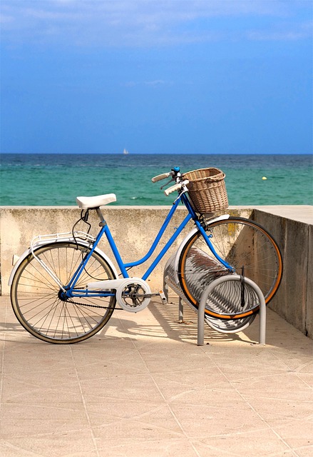 Free Bicycle Vacations photo and picture