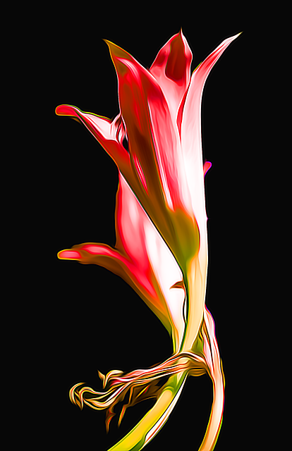 Bloemen, Flora, Plantaardige, Bloesem