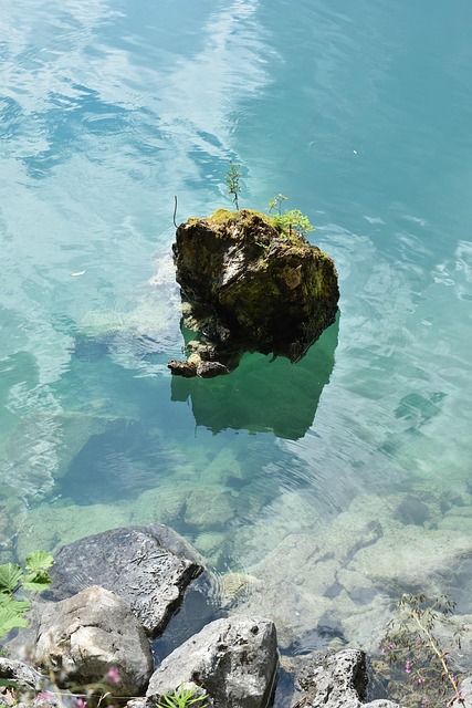 Free Lake Water photo and picture