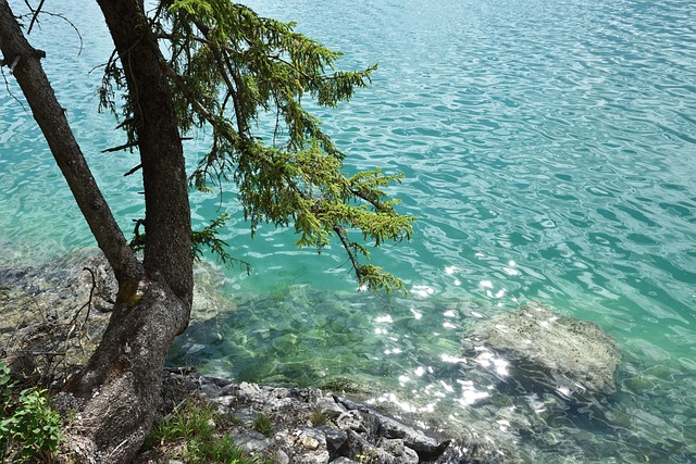 Free Lake Water photo and picture