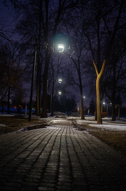 Free Night Walk photo and picture