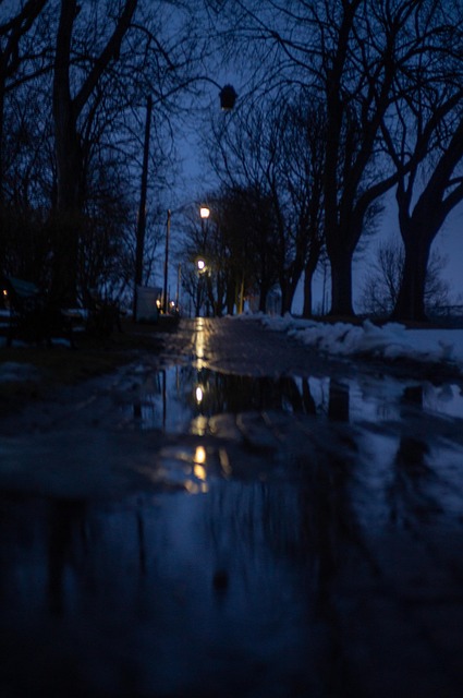 Free Night Walk photo and picture