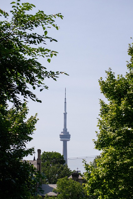 Free Toronto Architecture photo and picture