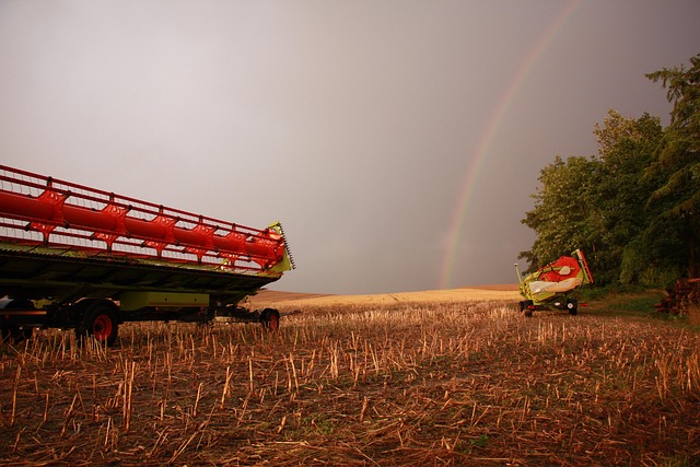Free Harvest Summer photo and picture