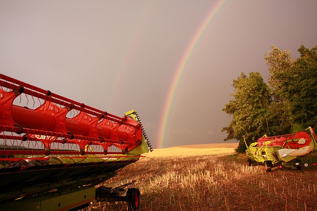 Free Harvest Summer photo and picture