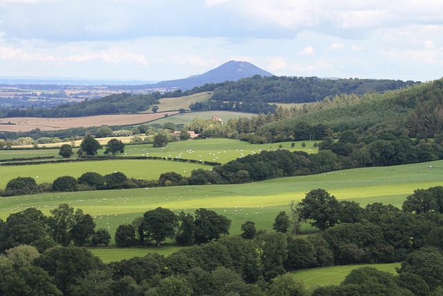 Image Colline Colline De Campagne Cultiver - Photo gratuite sur Pixabay - Pixabay