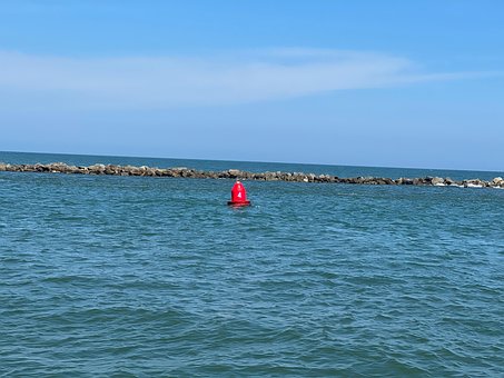 Myrtle Beach, Wycieczka Z Delfinami