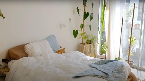 Free Furniture Comfort photo and picture