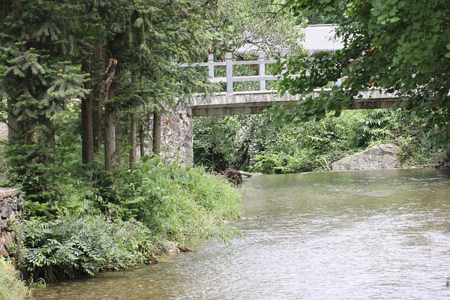 Free Creek River photo and picture