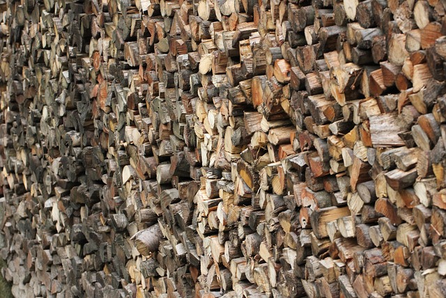 Free Wood Wood Pile photo and picture