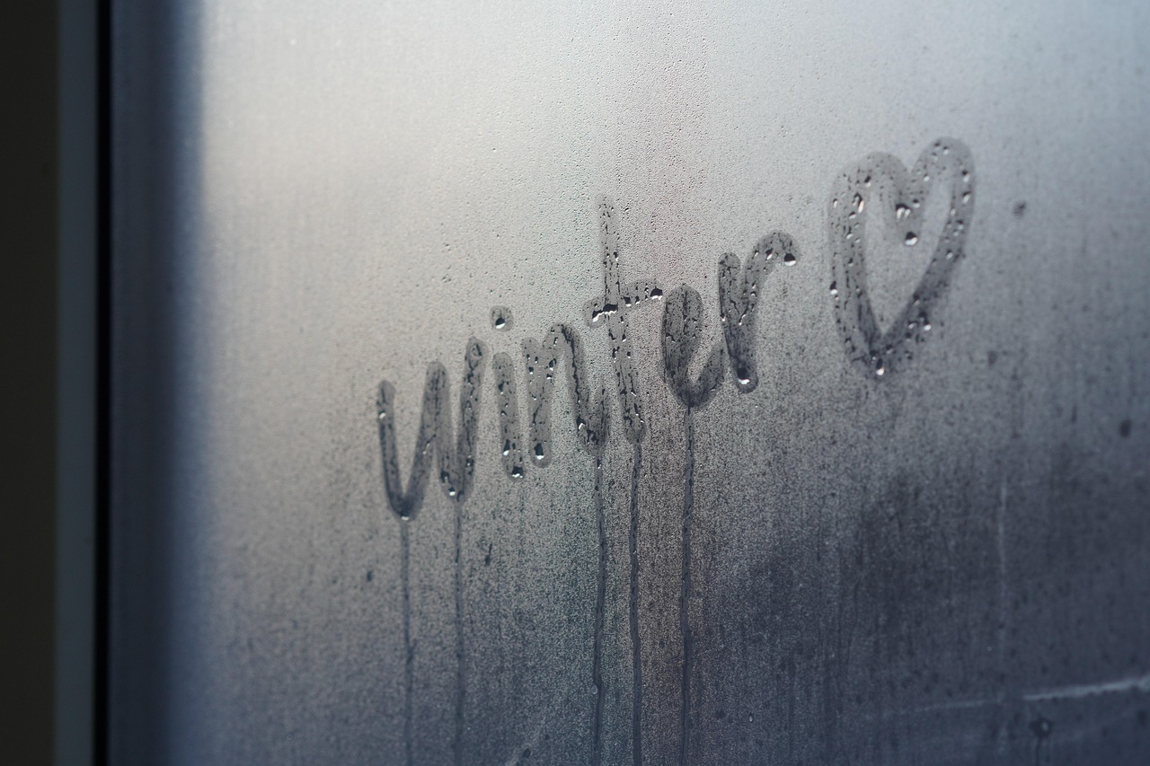Download free HD stock image of Window Moisture Free Window Moisture photo and picture