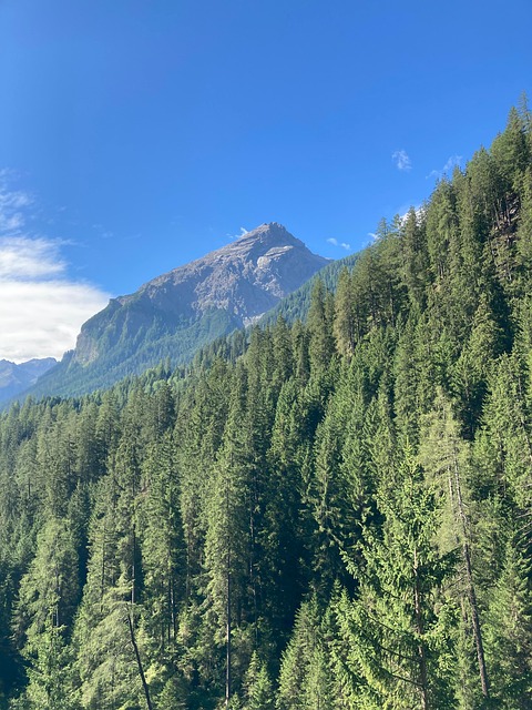 Albula, Schweiz, Alperne, Landskab