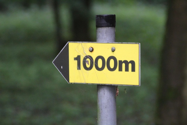 Woud, Natuur, Landschap, Wegwijzer