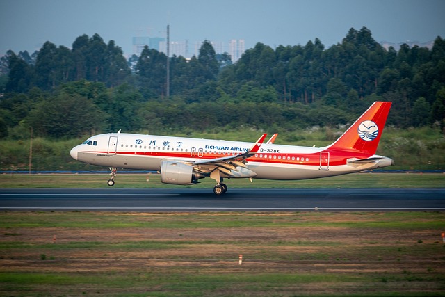 Free Aircraft Plane photo and picture