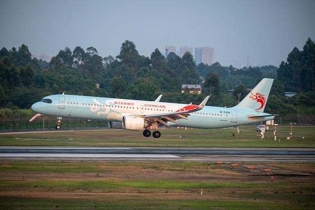 Free Airplane Flight photo and picture