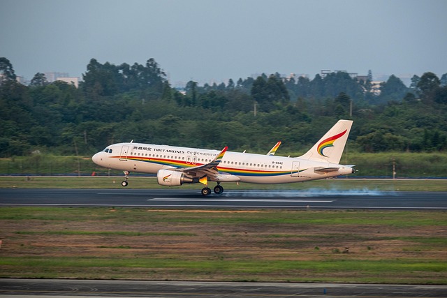 Free Aircraft Plane photo and picture