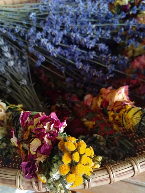 Free Herbs Lavender photo and picture
