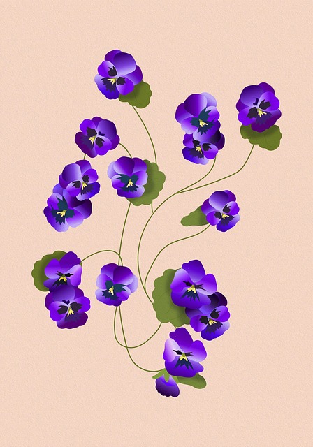 Free flowers floral background pansy illustration