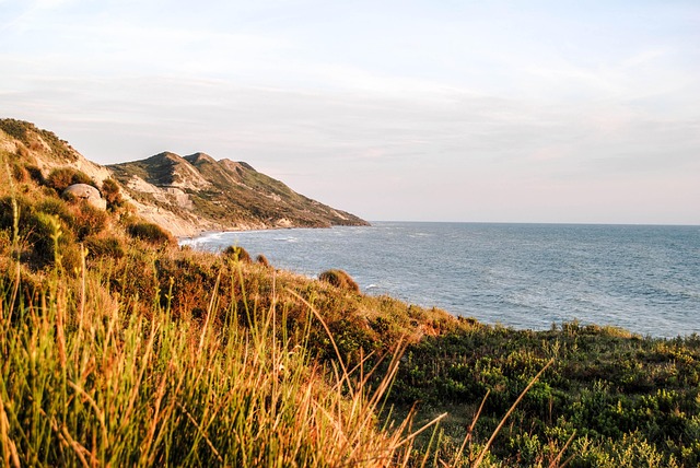 Costa, Playa, Hierba, Acantilado