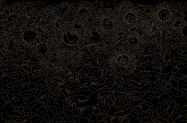 Free flowers sunflowers floral vector