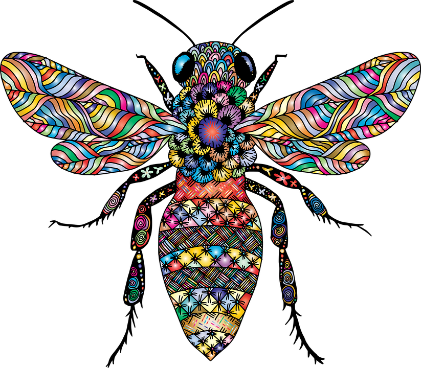 Download Bee Insect Animal Royalty-Free Vector Graphic - Pixabay