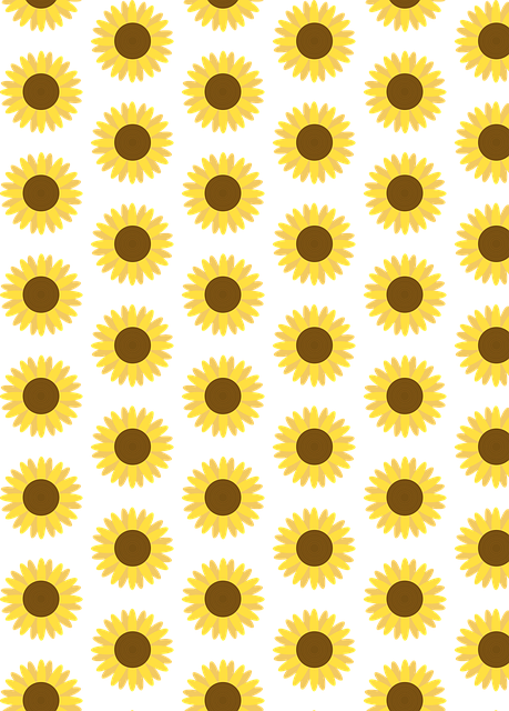Free Sunflower Background vector and picture