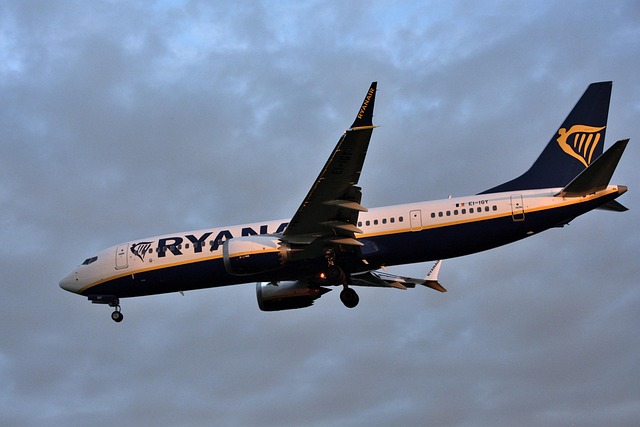 Free Fly Aviation photo and picture